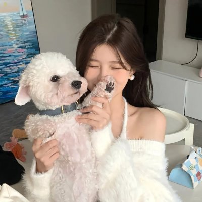 我们恋爱的履历